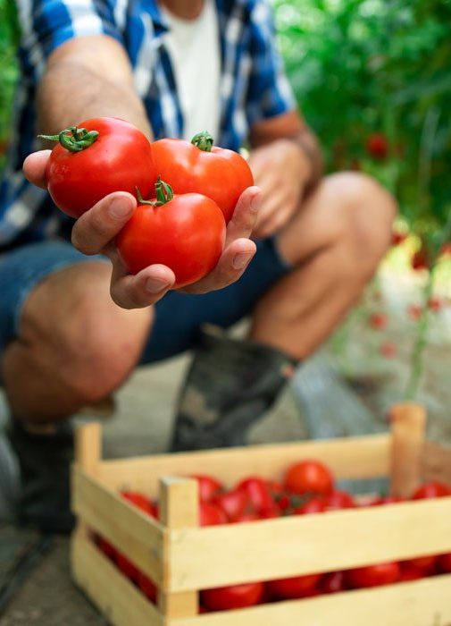 produttore agrolimentare italiano interessato al mercato svizzero